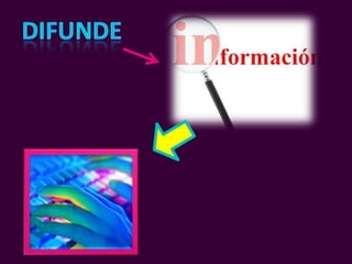 Servicios de internet (rss)