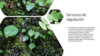Servicios de
regulación
• Son aquellos que proveen los ecosistemas
al contribuir a mantener la calidad del aire
y suelo, al controlar las inundaciones y
enfermedades y polinizar cultivos.
Generalmente no son tangibles y, por lo
tanto, son subestimados. Cuando estos
servicios se dañan o se degradan, las
pérdidas pueden llegar a ser sustanciales
y difíciles de restaurar.
 