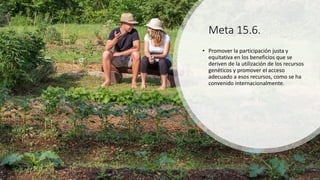 Meta 15.6.
• Promover la participación justa y
equitativa en los beneficios que se
deriven de la utilización de los recursos
genéticos y promover el acceso
adecuado a esos recursos, como se ha
convenido internacionalmente.
 