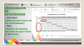  Actividad:
(Descripción breve de
las actividades).
 Mes:
(Anotar el nombre
del mes en que inicia
el Servicio)
 
