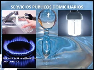 SERVICIOS PÚBLICOS DOMICILIARIOS ADRIANA  MARÍA MESA BUENO CÓD. 08062505 