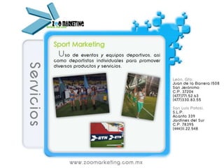Servicios Zoo marketing