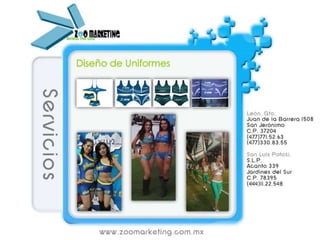 Servicios Zoo marketing