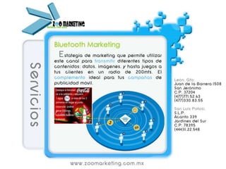 Servicios Zoo marketing