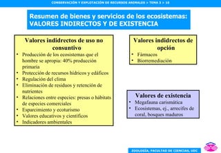 Resumen de bienes y servicios de los ecosistemas: VALORES INDIRECTOS Y DE EXISTENCIA Valores indidrectos de opción Fármacos Biorremediación Valores de existencia Megafauna carismática Ecosistemas, ej., arrecifes de coral, bosques maduros Valores indidrectos de uso no consuntivo Producción de los ecosistemas que el hombre se apropia: 40% producción primaria Protección de recursos hídricos y edáficos Regulación del clima Eliminación de residuos y retención de nutrientes Relaciones entre especies: presas o hábitats de especies comerciales Esparcimiento y ecoturismo Valores educativos y científicos Indicadores ambientales 