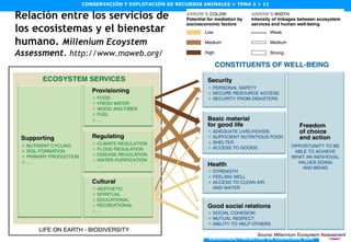 Relación entre los servicios de los ecosistemas y el bienestar humano.  Millenium Ecoystem Assessment.  http://www.maweb.org/ 