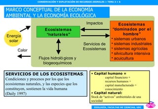 Calor Ecosistemas “ naturales” Ecosistemas “ dominados por el hombre” sistemas urbanos sistemas industriales sistemas agrícolas silvicultura intensiva acuicultura Impactos Servicios de Ecosistemas Flujos hidrológicos y biogeoquímicos SERVICIOS DE LOS ECOSISTEMAS : Condiciones y procesos por los que los ecosistemas naturales, y las especies que los constituyen, sostienen la vida humana (Daily 1997) Capital humano = capital financiero + recursos humanos + capital manufacturado + conocimiento Capital natural: Stock de “activos” ambientales de una sociedad MARCO CONCEPTUAL DE LA ECONOMÍA AMBIENTAL Y LA ECONOMÍA ECOLÓGICA Energía solar 