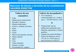 Resumen de bienes y servicios de los ecosistemas: VALORES DIRECTOS Valores de uso consuntivo Leña Madera para construcción Pescado y marisco Plantas medicinales Frutos y verduras silvestres Setas Pieles Carne Huevos de animales salvajes Fibras, palmas Miel Cera Tintes naturales Gomas y resinas Excremento (ej., guano) Valores de uso poductivo Uso consuntivo comercializables  (ej., madera aprox. 120,000 millones US$) + Proporcionar nuevas poblaciones parentales para industria, agricultura y mejora genética Agentes de control biológico Fuente de fármacos  (aprox. 75% de los 150 fármcacos más frecuentes en EEUU) 