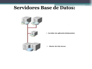 Servidores Base de Datos:
 