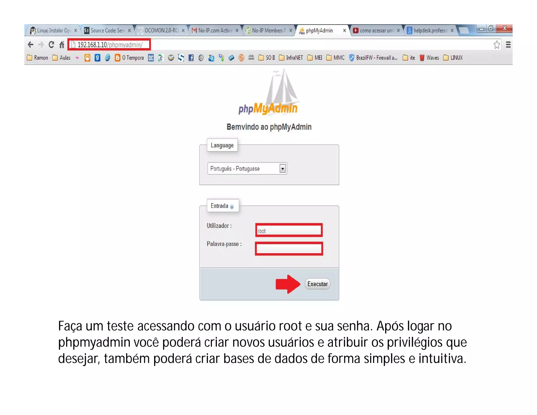 Faça um teste acessando com o usuário root e sua senha. Após logar no
phpmyadmin você poderá criar novos usuários e atribuir os privilégios que
desejar, também poderá criar bases de dados de forma simples e intuitiva.

 