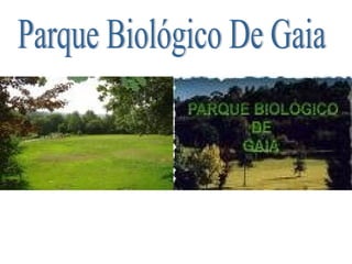Parque Biológico De Gaia 