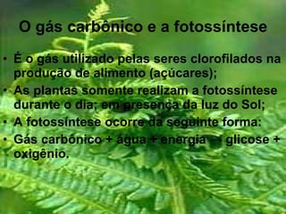 O gás carbônico e a fotossíntese É o gás utilizado pelas seres clorofilados na produção de alimento (açúcares); As plantas somente realizam a fotossíntese durante o dia; em presença da luz do Sol; A fotossíntese ocorre da seguinte forma: Gás carbônico + água + energia  ->  glicose + oxigênio. 