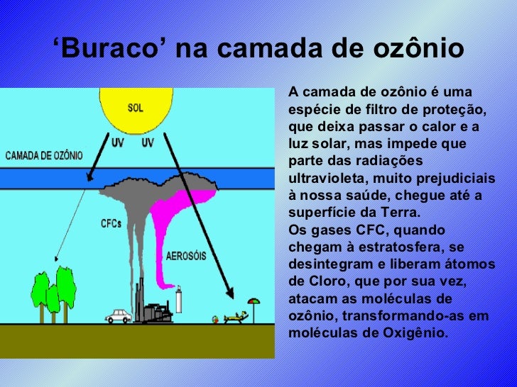 Enem Parte Do Gas Carbonico Da Atmosfera é Absorvida