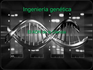 Ingeniería genética El ADN de la Ciencia 