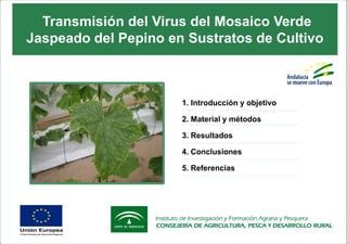 1. Introducción y objetivo
2. Material y métodos
3. Resultados
4. Conclusiones
5. Referencias
Transmisión del Virus del Mosaico Verde
Jaspeado del Pepino en Sustratos de Cultivo
 