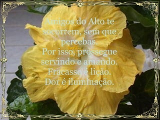 Amigos do Alto te socorrem, sem que percebas. Por isso, prossegue servindo e amando. Fracasso é lição. Dor é iluminação. 