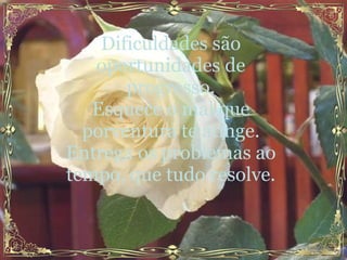 Dificuldades são oportunidades de progresso. Esquece o mal que porventura te atinge. Entrega os problemas ao tempo, que tudo resolve. 