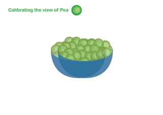 Calibrating the view of Pea
 