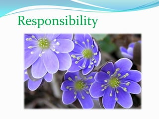 Responsibility
 