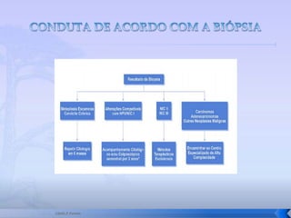 Serviço De Propedêutica Do Colo Aula1