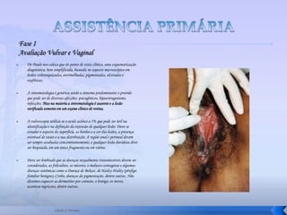 Serviço De Propedêutica Do Colo Aula1