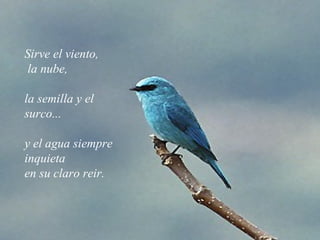 Servir Gabriela Mistral