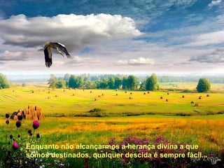 Enquanto não alcançarmos a herança divina a que somos destinados, qualquer descida é sempre fácil...   