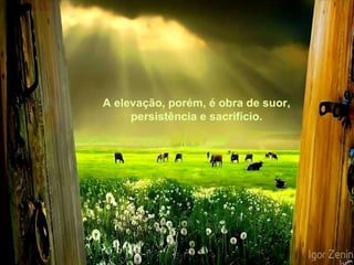 A elevação, porém, é obra de suor, persistência e sacrifício. 