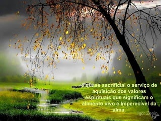 é quase sacrificial o serviço de aquisição dos valores espirituais que significam o alimento vivo e Imperecível da alma. 