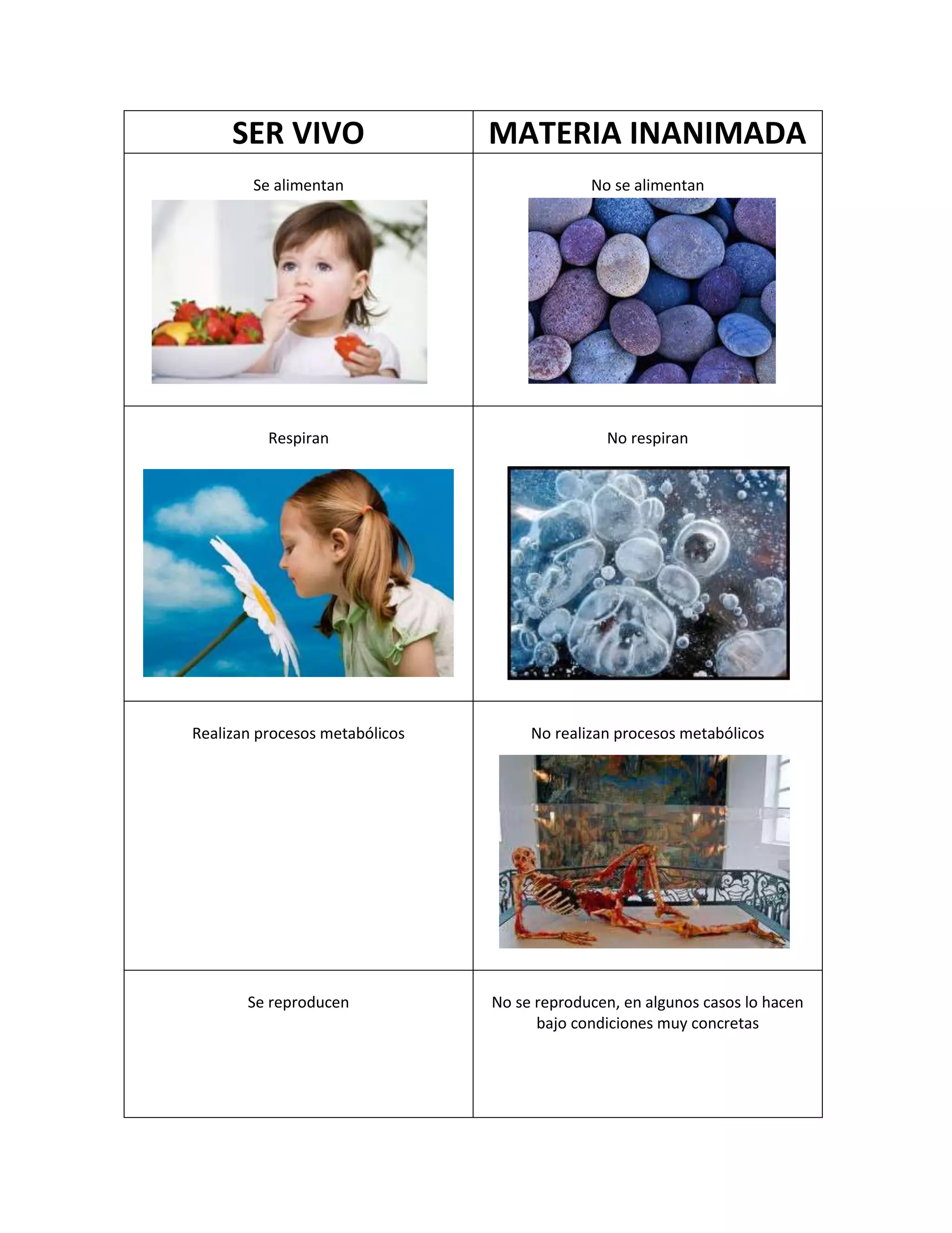Diferencias de ser vivo/materia inanimada | DOCX