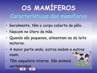 OS MAMÍFEROS Características dos mamíferos Geralmente, têm o corpo coberto de pêlo. Nascem no útero da mãe. Quando são pequenos, alimentam-se do leite materno. A maior parte anda; outros nadam e outros voam. Têm esqueleto interno. São animais vertebrados. 