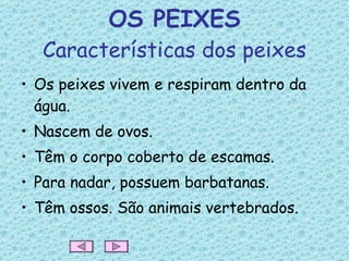 OS PEIXES Características dos peixes Os peixes vivem e respiram dentro da água. Nascem de ovos. Têm o corpo coberto de escamas. Para nadar, possuem barbatanas. Têm ossos. São animais vertebrados. 