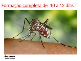 Formação completa de 10 à 12 dias
 