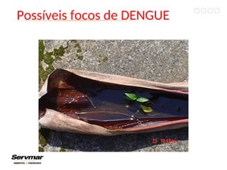 Possíveis focos de DENGUE
 