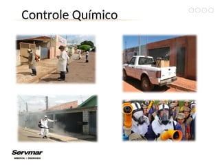 Controle Químico
 
