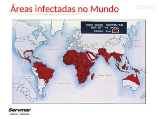 Áreas infectadas no Mundo
 