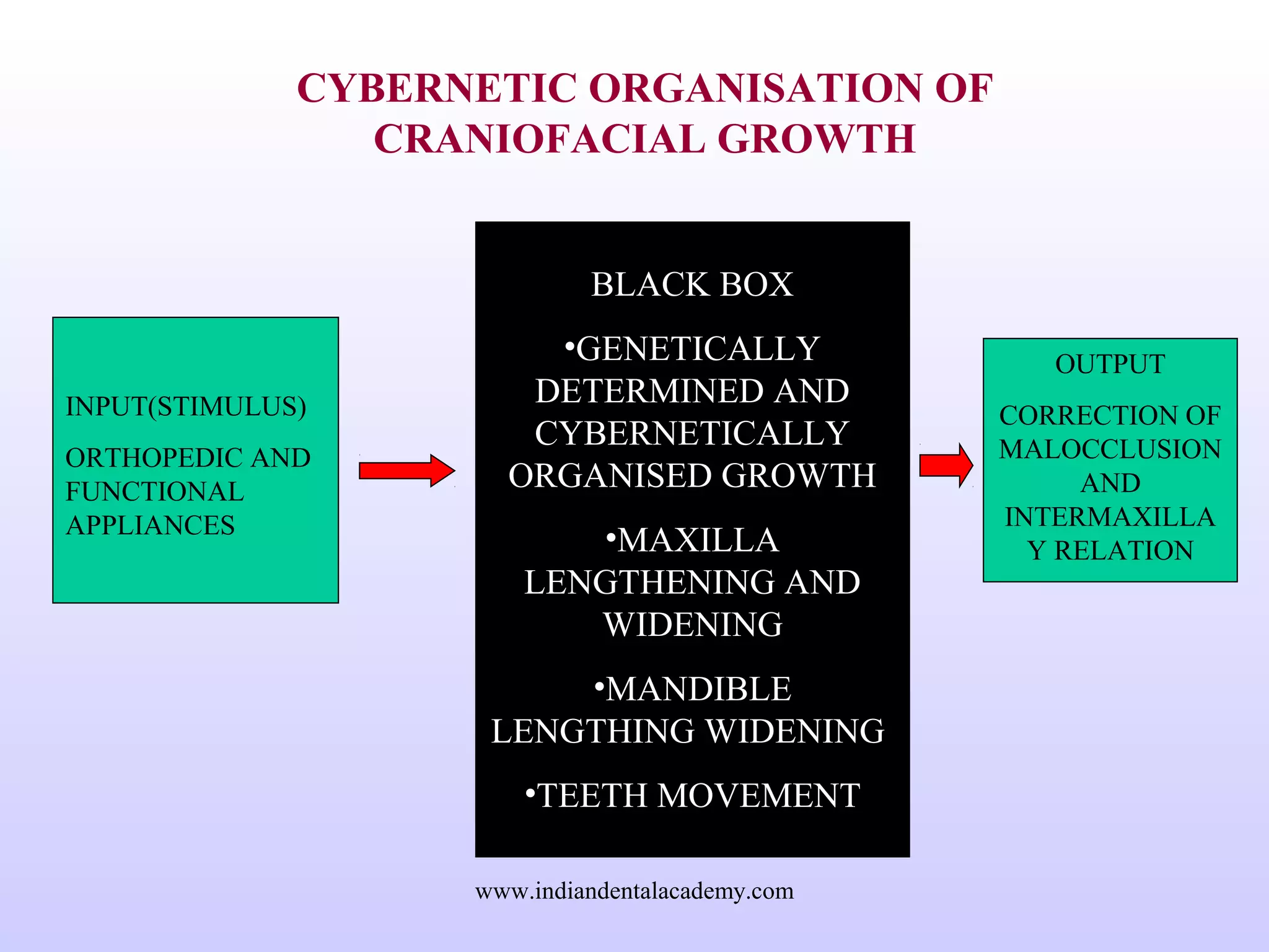 CYBERNETIC ORGANISATION OF
CRANIOFACIAL GROWTH
INPUT(STIMULUS)
ORTHOPEDIC AND
FUNCTIONAL
APPLIANCES
BLACK BOX
•GENETICALLY
DETERMINED AND
CYBERNETICALLY
ORGANISED GROWTH
•MAXILLA
LENGTHENING AND
WIDENING
•MANDIBLE
LENGTHING WIDENING
•TEETH MOVEMENT
OUTPUT
CORRECTION OF
MALOCCLUSION
AND
INTERMAXILLA
Y RELATION
www.indiandentalacademy.com
 