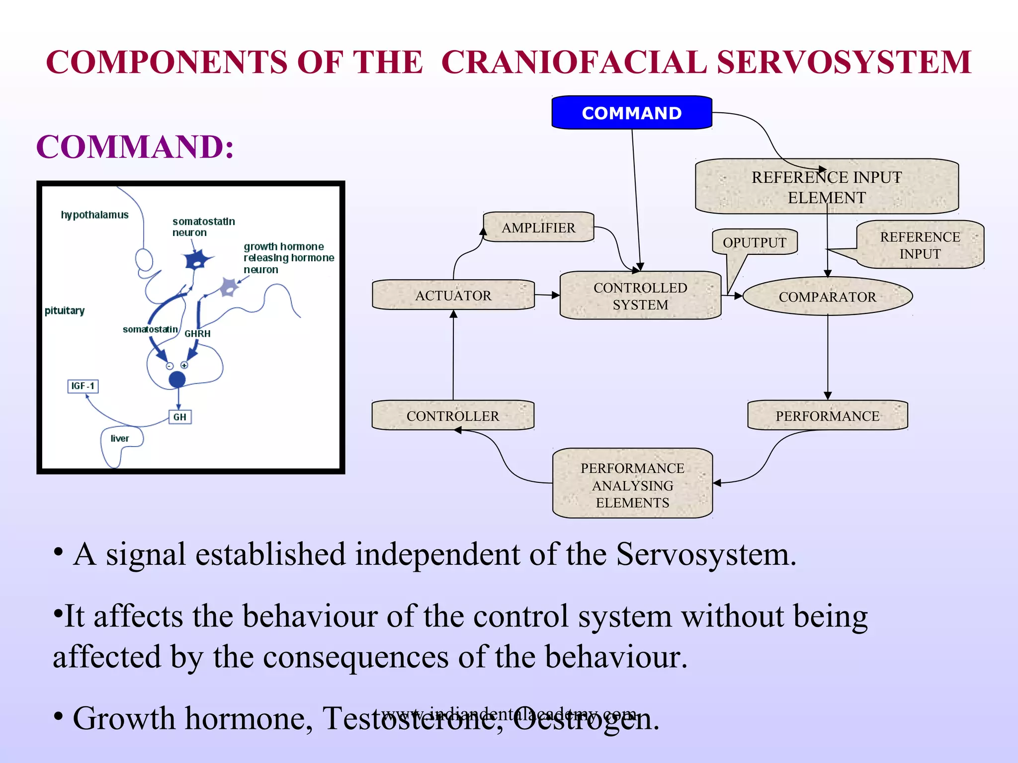 COMPONENTS OF THE CRANIOFACIAL SERVOSYSTEM
COMMAND:
• A signal established independent of the Servosystem.
•It affects the behaviour of the control system without being
affected by the consequences of the behaviour.
• Growth hormone, Testosterone, Oestrogen.
CONTROLLER
ACTUATOR
REFERENCE INPUT
ELEMENT
COMPARATOR
COMMAND
PERFORMANCE
ANALYSING
ELEMENTS
CONTROLLED
SYSTEM
PERFORMANCE
AMPLIFIER
REFERENCE
INPUT
OPUTPUT
www.indiandentalacademy.com
 