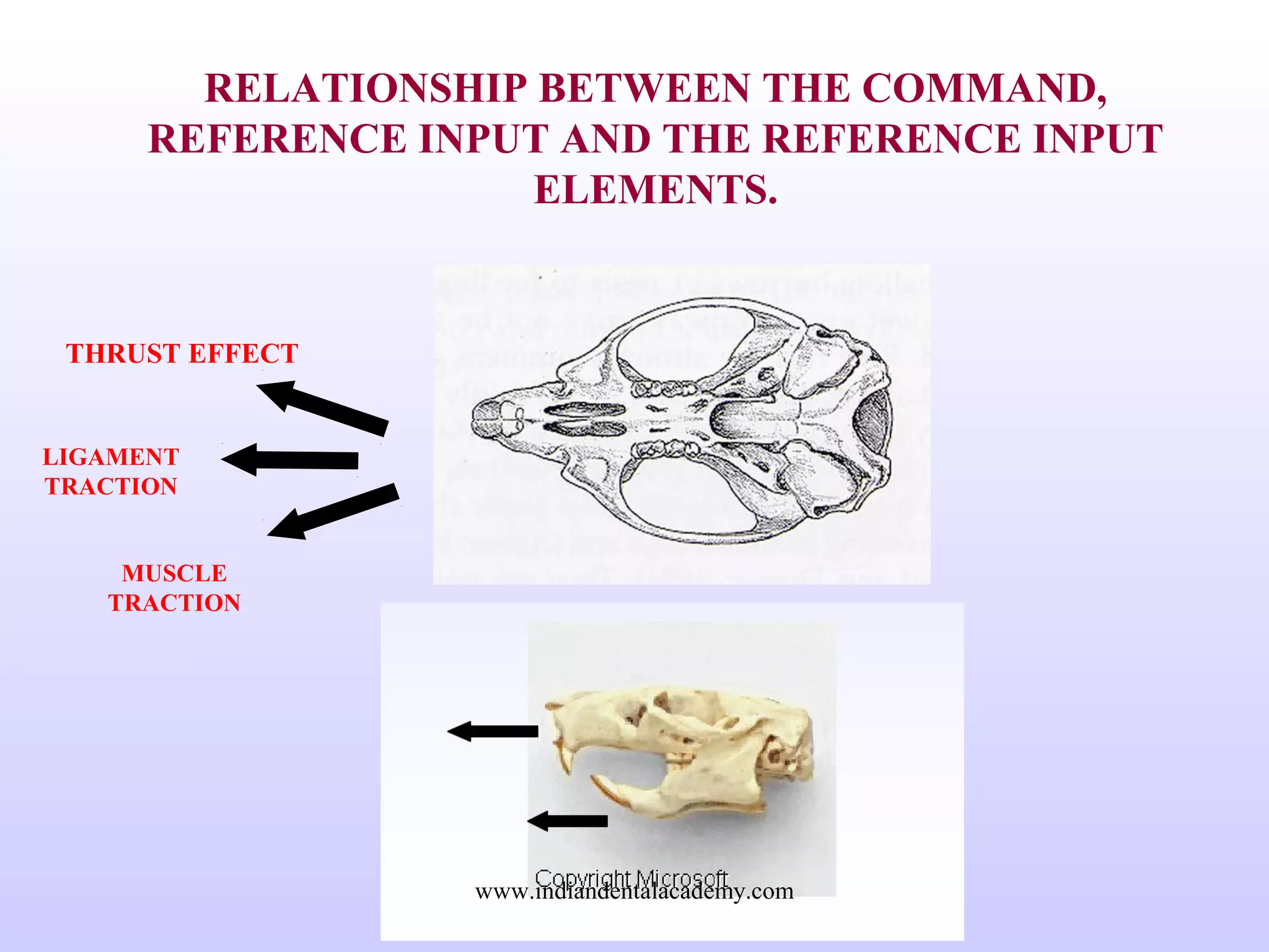 RELATIONSHIP BETWEEN THE COMMAND,
REFERENCE INPUT AND THE REFERENCE INPUT
ELEMENTS.
THRUST EFFECT
LIGAMENT
TRACTION
MUSCLE
TRACTION
www.indiandentalacademy.com
 