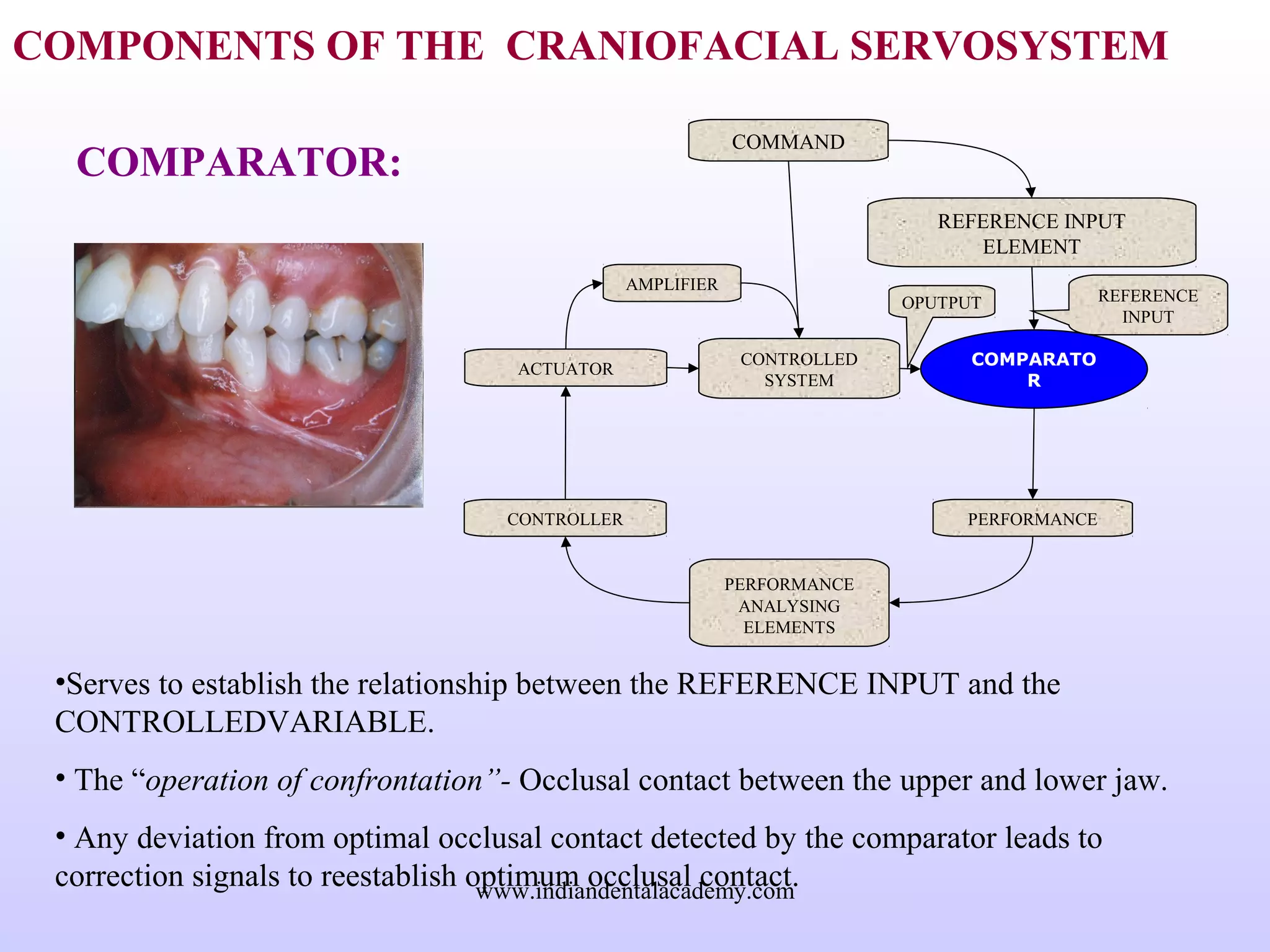COMPONENTS OF THE CRANIOFACIAL SERVOSYSTEM
COMPARATOR:
REFERENCE INPUT
ELEMENT
COMPARATO
R
COMMAND
PERFORMANCE
ANALYSING
ELEMENTS
CONTROLLED
SYSTEM
CONTROLLER
ACTUATOR
PERFORMANCE
AMPLIFIER
REFERENCE
INPUT
OPUTPUT
•Serves to establish the relationship between the REFERENCE INPUT and the
CONTROLLEDVARIABLE.
• The “operation of confrontation”- Occlusal contact between the upper and lower jaw.
• Any deviation from optimal occlusal contact detected by the comparator leads to
correction signals to reestablish optimum occlusal contact.www.indiandentalacademy.com
 