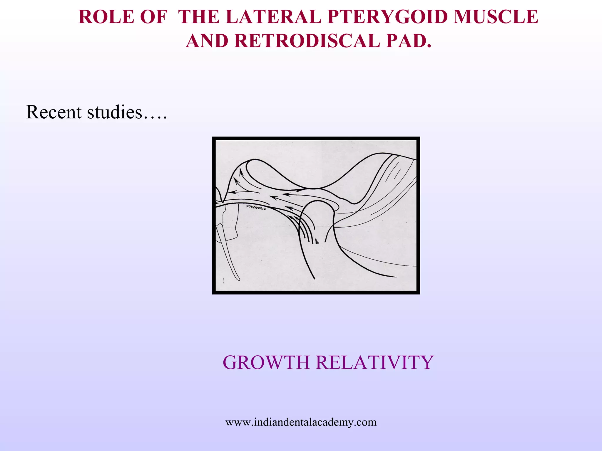 ROLE OF THE LATERAL PTERYGOID MUSCLE
AND RETRODISCAL PAD.
Recent studies….
GROWTH RELATIVITY
www.indiandentalacademy.com
 