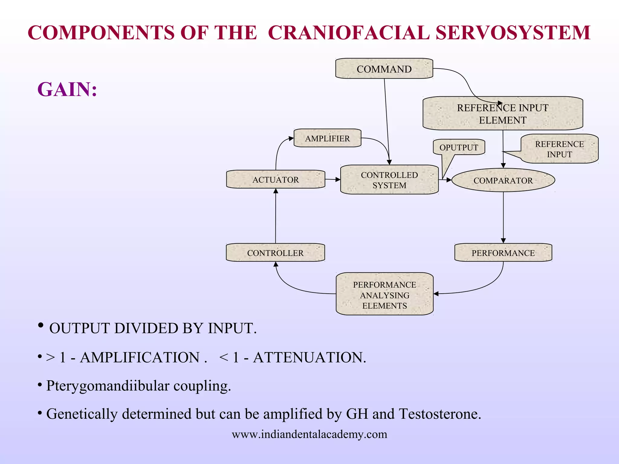 COMPONENTS OF THE CRANIOFACIAL SERVOSYSTEM
GAIN:
• OUTPUT DIVIDED BY INPUT.
• > 1 - AMPLIFICATION . < 1 - ATTENUATION.
• Pterygomandiibular coupling.
• Genetically determined but can be amplified by GH and Testosterone.
REFERENCE INPUT
ELEMENT
COMPARATOR
COMMAND
PERFORMANCE
ANALYSING
ELEMENTS
CONTROLLED
SYSTEM
CONTROLLER
ACTUATOR
PERFORMANCE
AMPLIFIER
REFERENCE
INPUT
OPUTPUT
www.indiandentalacademy.com
 