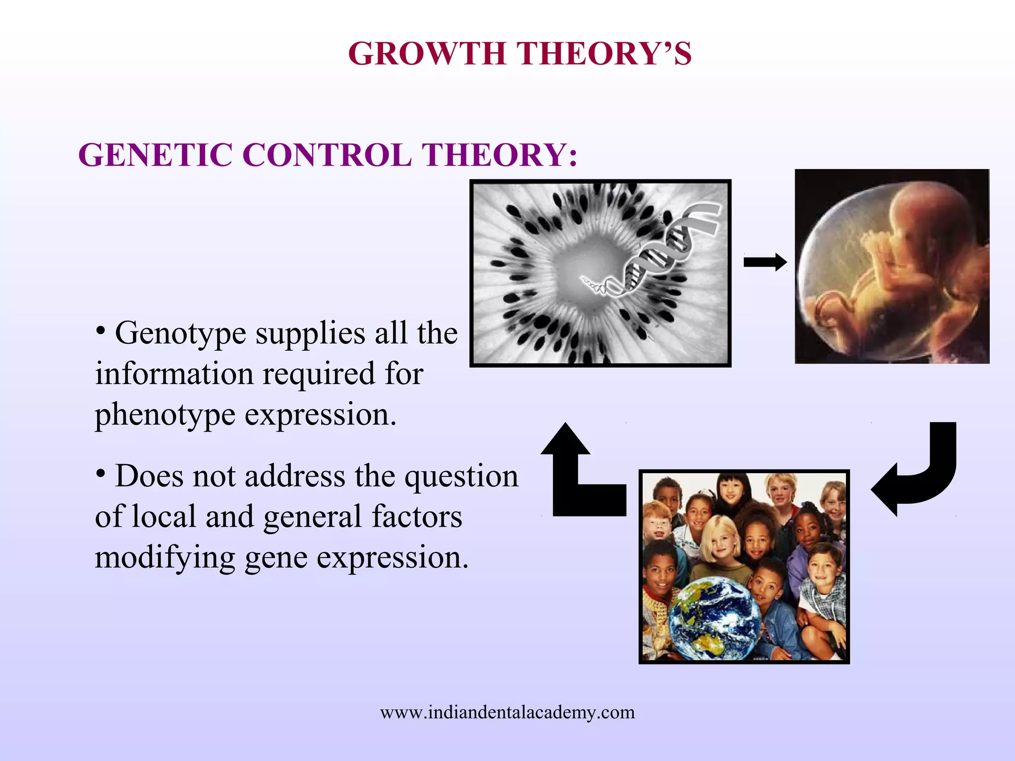 GROWTH THEORY’S
GENETIC CONTROL THEORY:
• Genotype supplies all the
information required for
phenotype expression.
• Does not address the question
of local and general factors
modifying gene expression.
www.indiandentalacademy.com
 