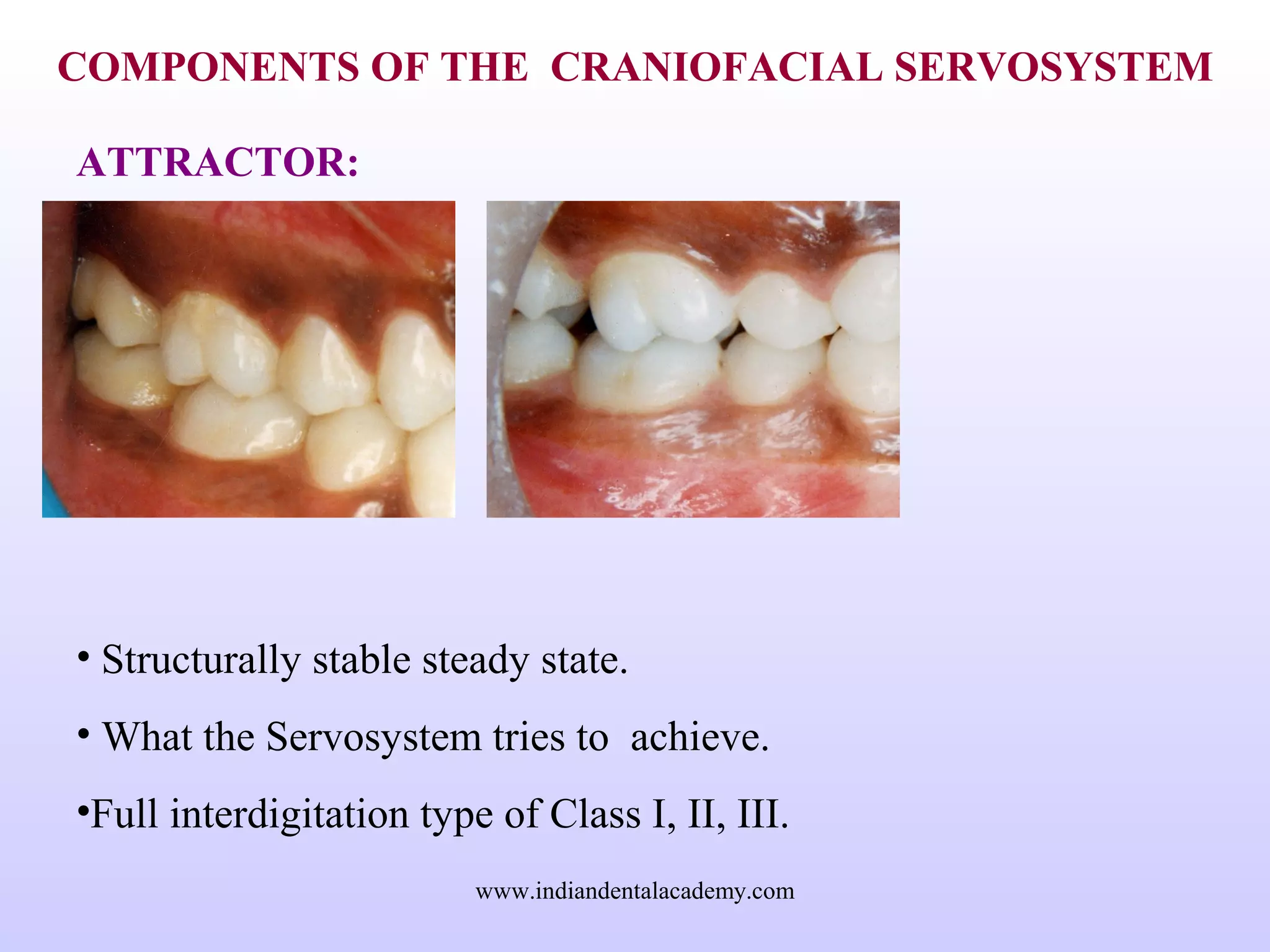 COMPONENTS OF THE CRANIOFACIAL SERVOSYSTEM
ATTRACTOR:
• Structurally stable steady state.
• What the Servosystem tries to achieve.
•Full interdigitation type of Class I, II, III.
www.indiandentalacademy.com
 