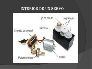 Interior de un servo