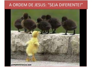 A ORDEM DE JESUS: “SEJA DIFERENTE!”

 