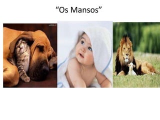 “Os Mansos”

 