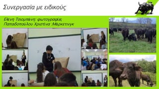 Συνεργασία με ειδικούς
Ελένη Τσιομπάνη: φωτογραφίες
Παπαδοπούλου Χριστίνα :Μάρκετινγκ
 