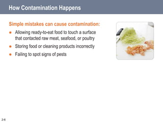 How Contamination Happens
Simple mistakes can cause contamination:
 Allowing ready-to-eat food to touch a surface
that contacted raw meat, seafood, or poultry
 Storing food or cleaning products incorrectly
 Failing to spot signs of pests
2-6
 