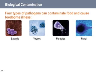 Biological Contamination
Four types of pathogens can contaminate food and cause
foodborne illness:
2-8
Bacteria Viruses Parasites Fungi
 